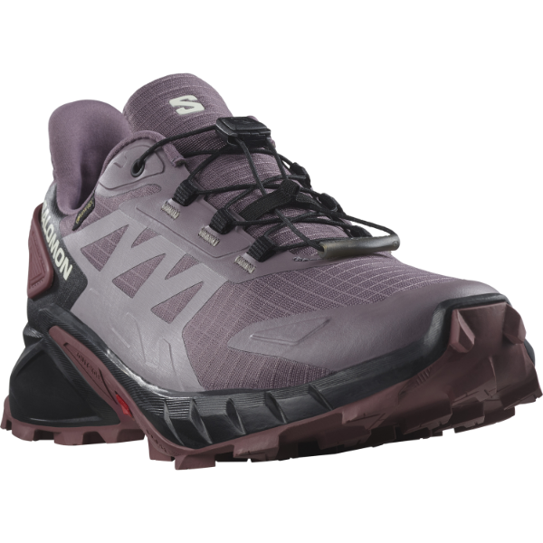Salomon Supercross 4 GTX W