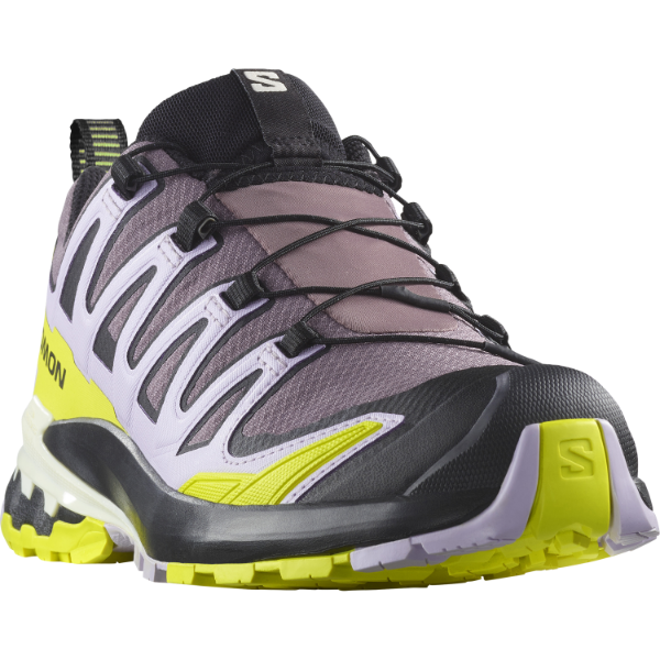 Salomon Xa Pro 3d V9 GTX W