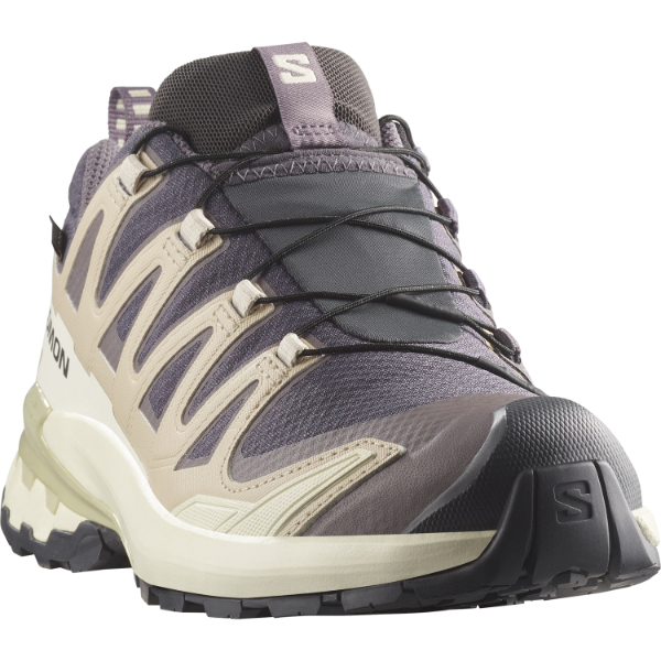 Salomon Xa Pro 3d V9 GTX W