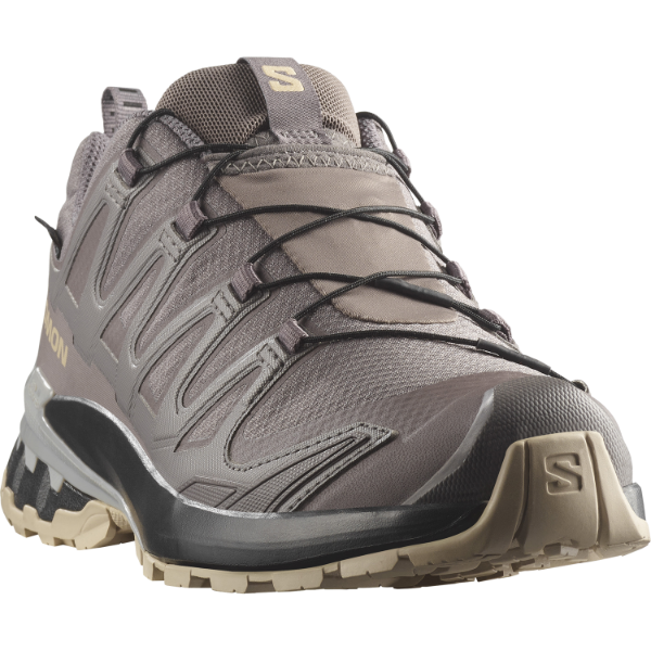 Salomon Xa Pro 3d V9 GTX W