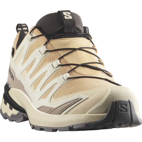 Salomon Xa Pro 3d V9 GTX W