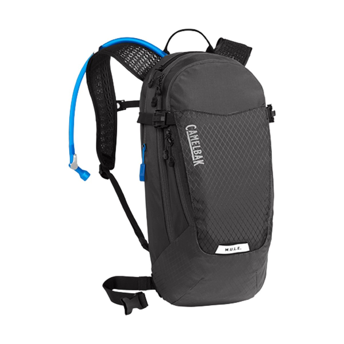 DAME MULE 12 3L