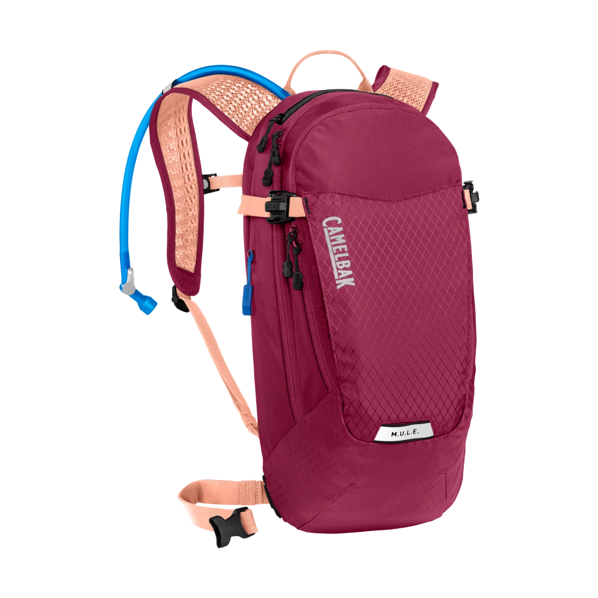 DAME MULE 12 3L