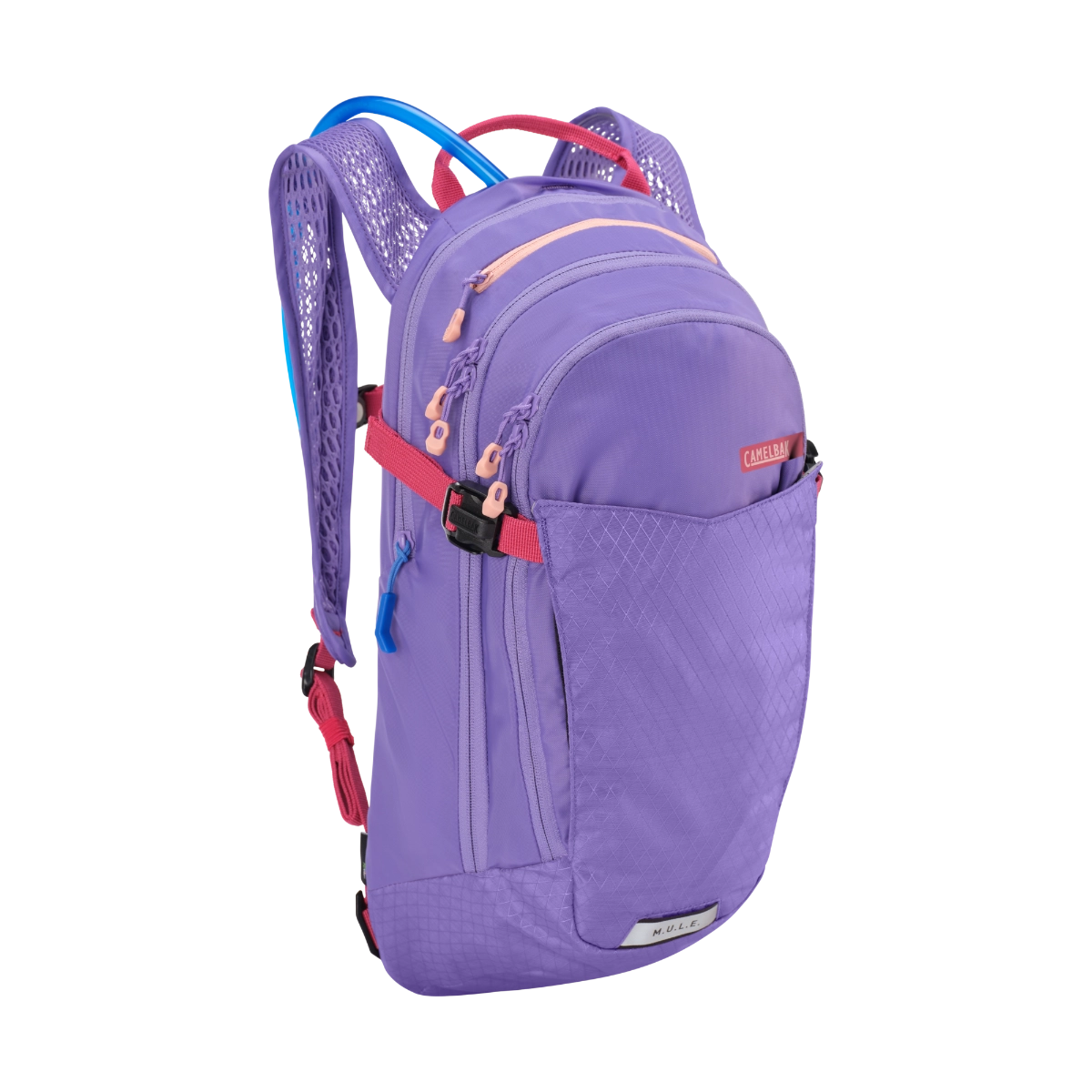 DAME MULE 12 3L