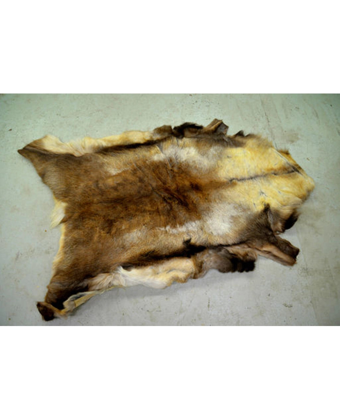 REINDEER HIDE DELUXE
