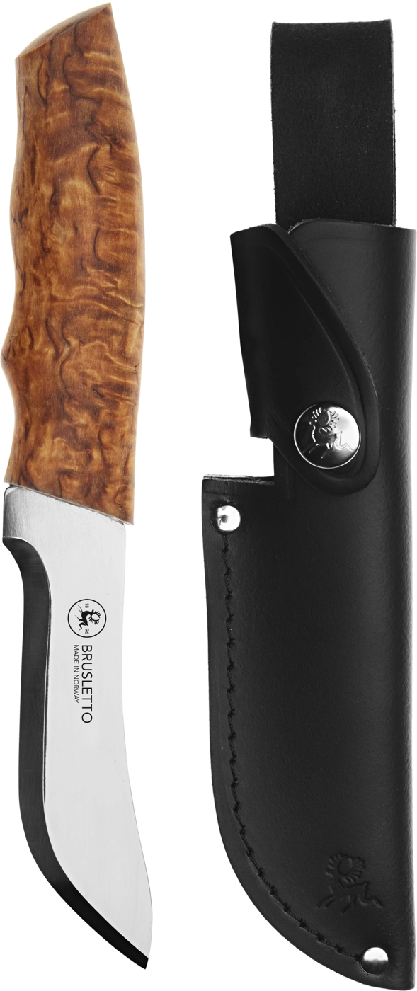 SKINNER MASUR