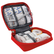 GLOBE BASIC TASKE