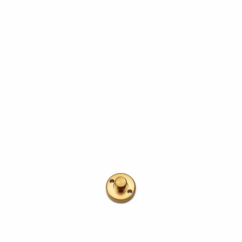 BRASS SCREW FOR 3288,89