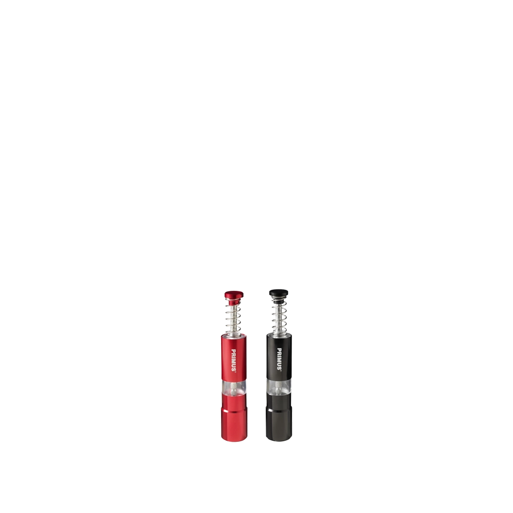 SALT AND PEPPER MILL