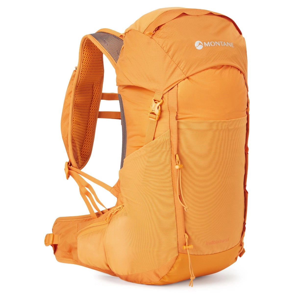 TRAILBLAZER 25
