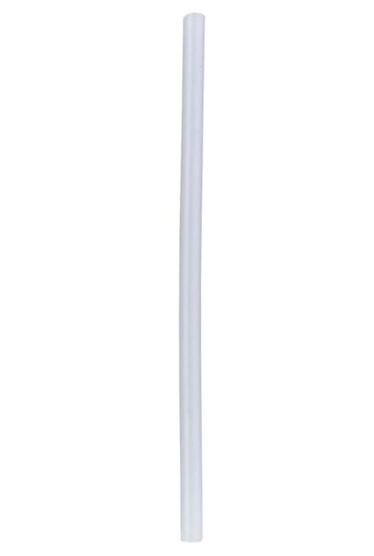 T1706B P-STICK TRANSP,6MM,10STK,90G