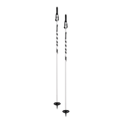 I2 TOURING POLE